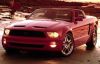 mustang5