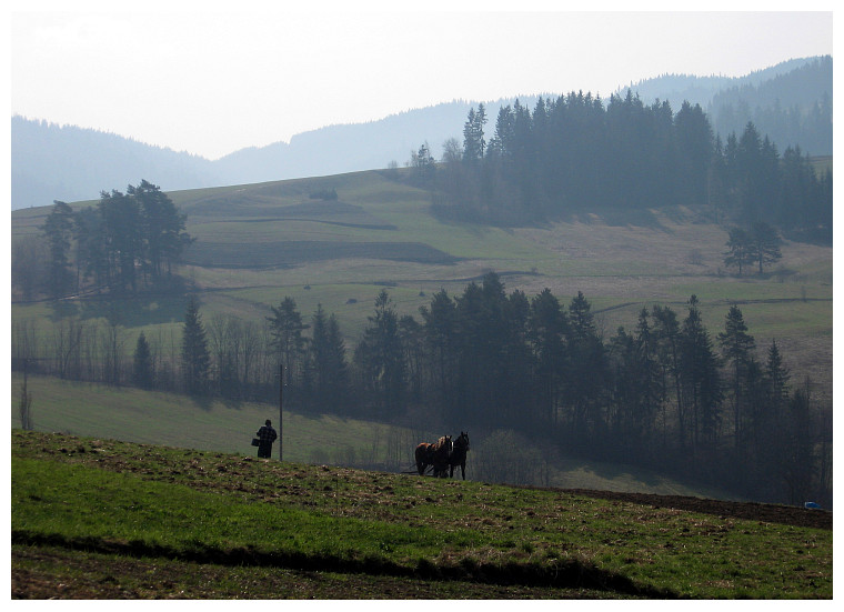 W drodze na Maciejow